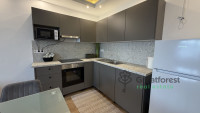 Debrecen, Greatforest Area, flat  
