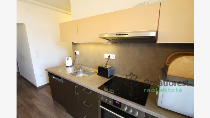 Debrecen, Close To Main Campus, flat  