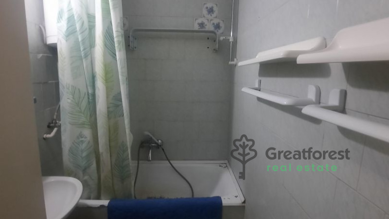 Debrecen, Greatforest Area, flat  