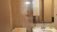 Debrecen, Greatforest Area, flat  