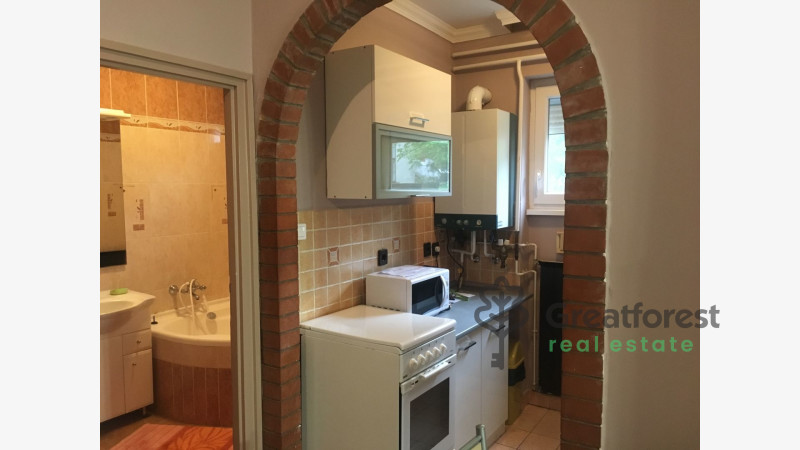 Debrecen, Greatforest Area, flat  