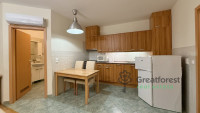 Debrecen, City Center, flat  