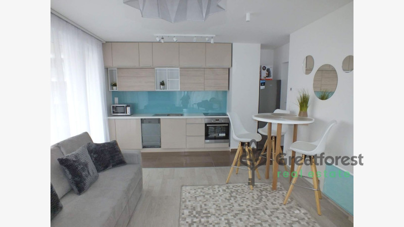 Debrecen, Close To Main Campus, flat  