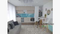 Debrecen, Close To Main Campus, flat  