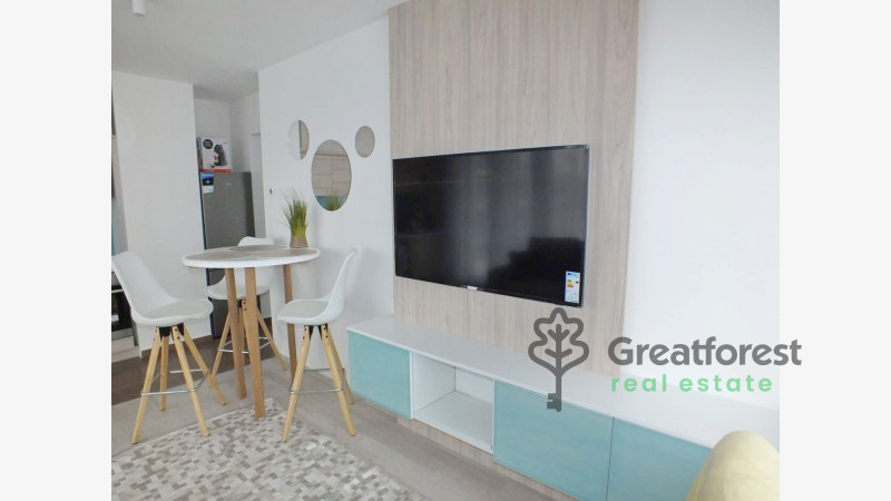 Debrecen, Close To Main Campus, flat  