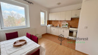 Debrecen, Greatforest Area, flat  