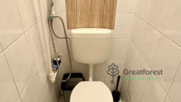 Debrecen, Greatforest Area, flat  