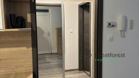 Debrecen, City Center, flat  