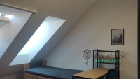 Debrecen, City Center, flat  