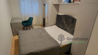 Debrecen, Close To Main Campus, flat  