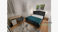 Debrecen, Close To Main Campus, flat  