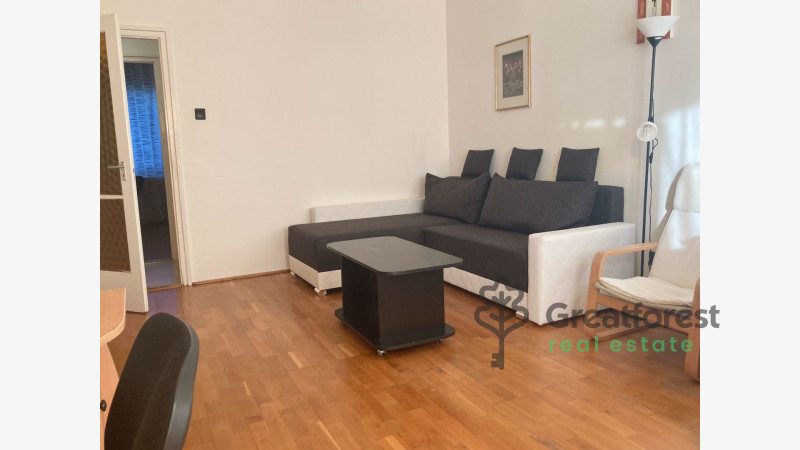 Debrecen, Close To Main Campus, flat  