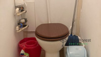Debrecen, Close To Main Campus, flat  