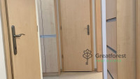Debrecen, City Center, flat  
