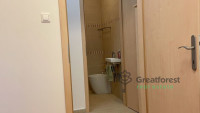Debrecen, City Center, flat  