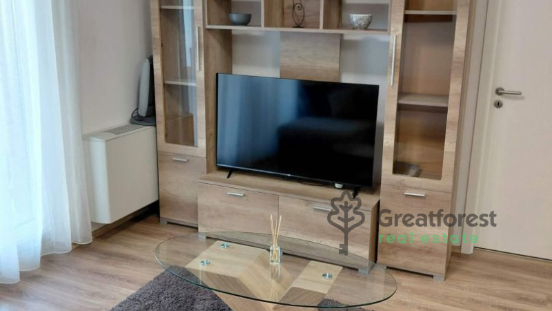 Debrecen, Close To Main Campus, flat  