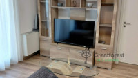 Debrecen, Close To Main Campus, flat  