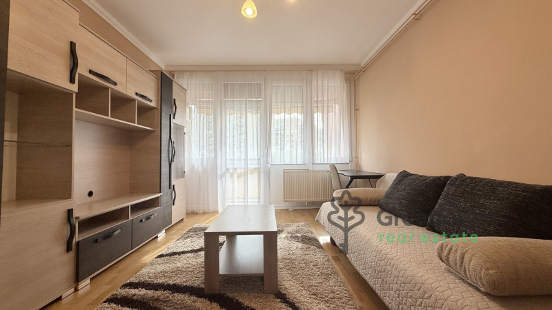 Debrecen, Close To Main Campus, flat  