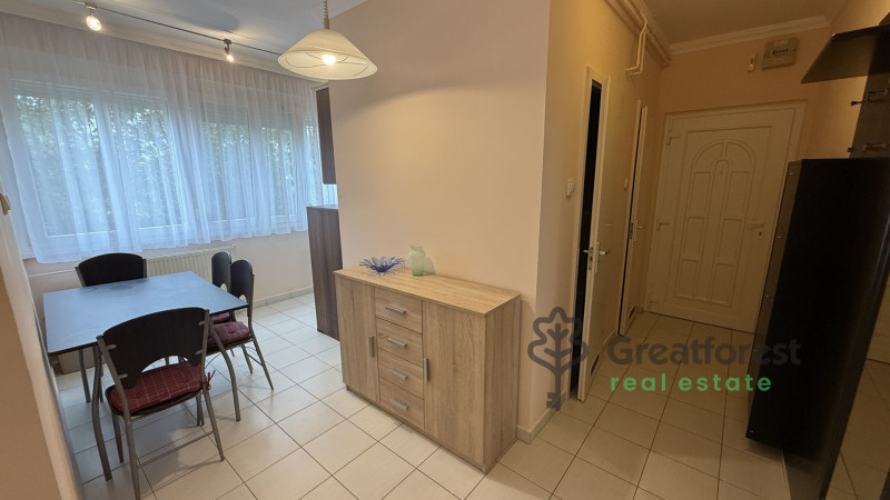 Debrecen, Close To Main Campus, flat  