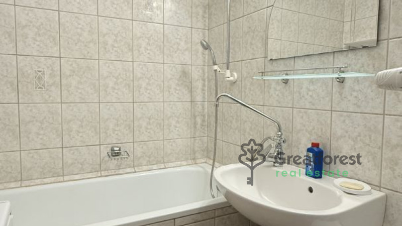 Debrecen, Close To Main Campus, flat  