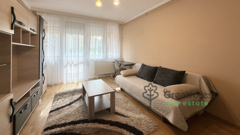 Debrecen, Close To Main Campus, flat  