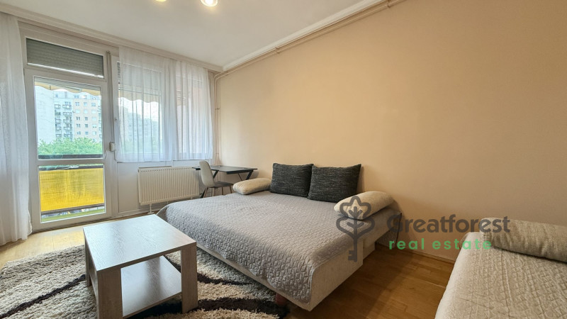 Debrecen, Close To Main Campus, flat  