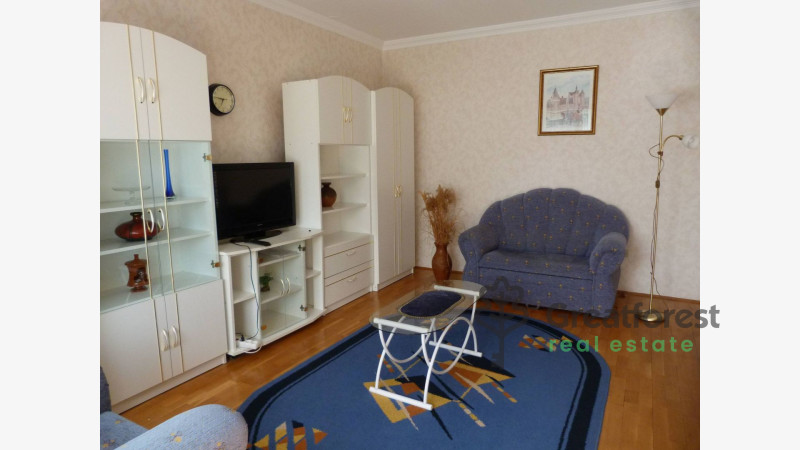 Debrecen, Close To Main Campus, flat  