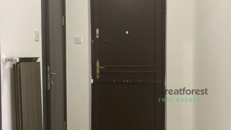 Debrecen, Greatforest Area, flat  