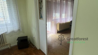 Debrecen, Greatforest Area, flat  