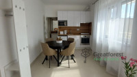 Debrecen, Close To Bem Square, flat  