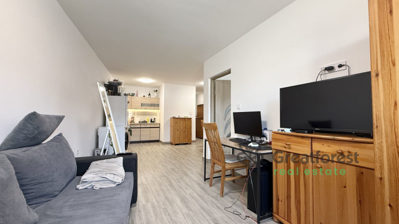 Hajdúszoboszló, flat  