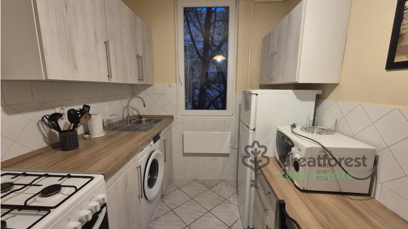 Debrecen, Greatforest Area, flat  