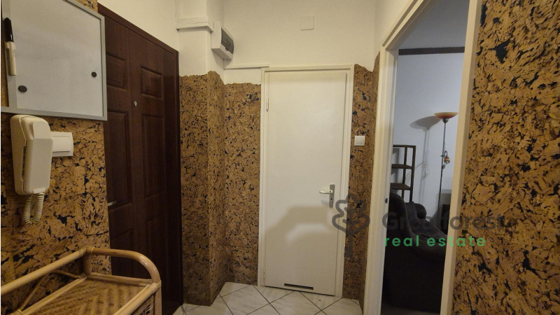 Debrecen, Greatforest Area, flat  