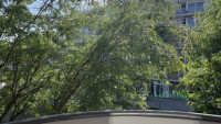 Debrecen, City Center, flat  
