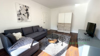 Debrecen, City Center, flat  