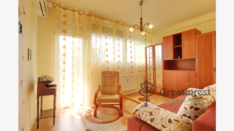 Debrecen, Close To Main Campus, flat  