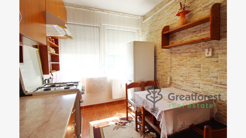 Debrecen, Close To Main Campus, flat  