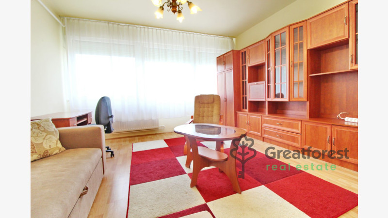 Debrecen, Close To Main Campus, flat  
