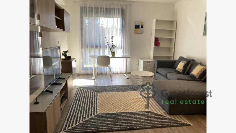 Debrecen, Close To Plaza, flat  