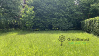 Debrecen, Liget Residencial Park, attached house  