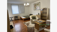 Debrecen, Close To Main Campus, flat  