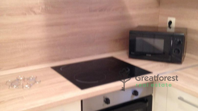 Debrecen, Close To Main Campus, flat  
