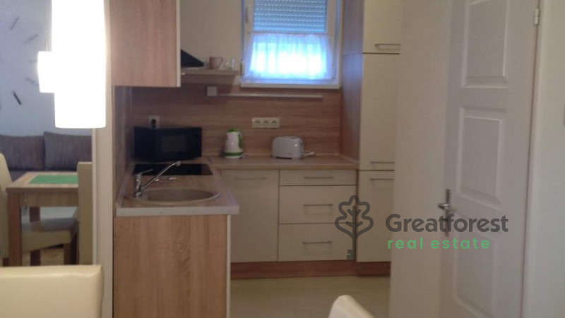 Debrecen, Close To Main Campus, flat  