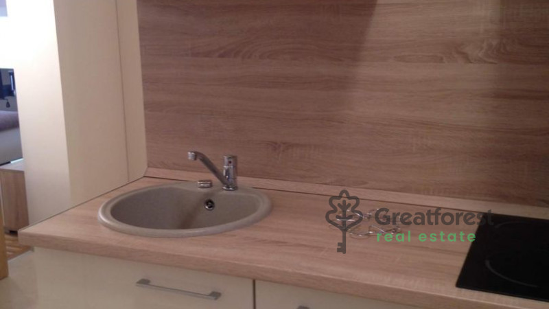Debrecen, Close To Main Campus, flat  