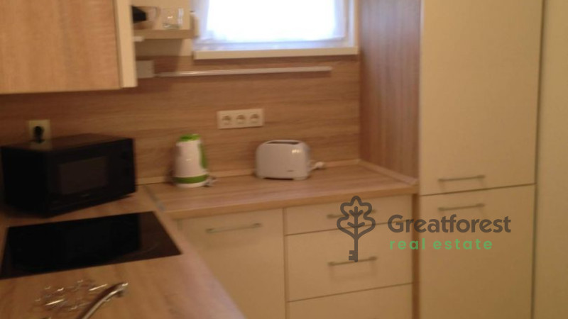 Debrecen, Close To Main Campus, flat  