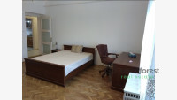 Debrecen, Close To Engineering, flat  