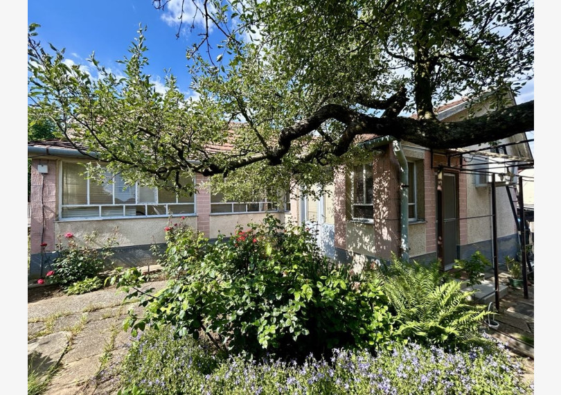 Family House