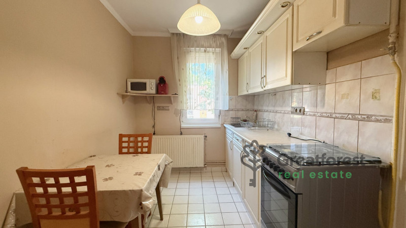 Debrecen, Greatforest Area, flat  