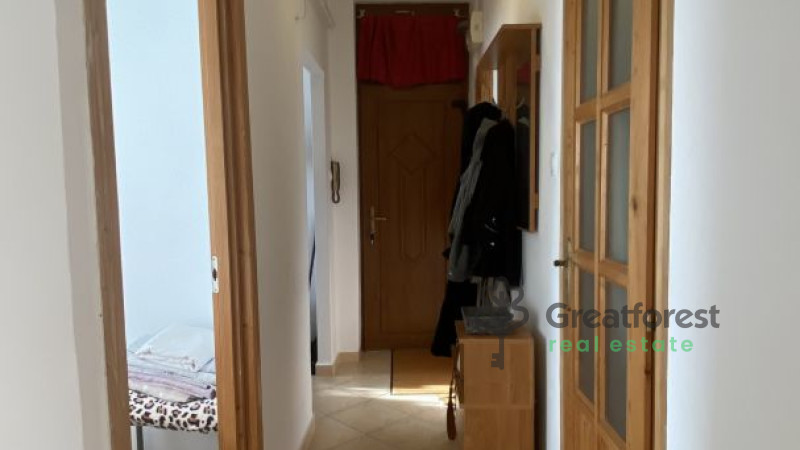 Debrecen, Close To Main Campus, flat  