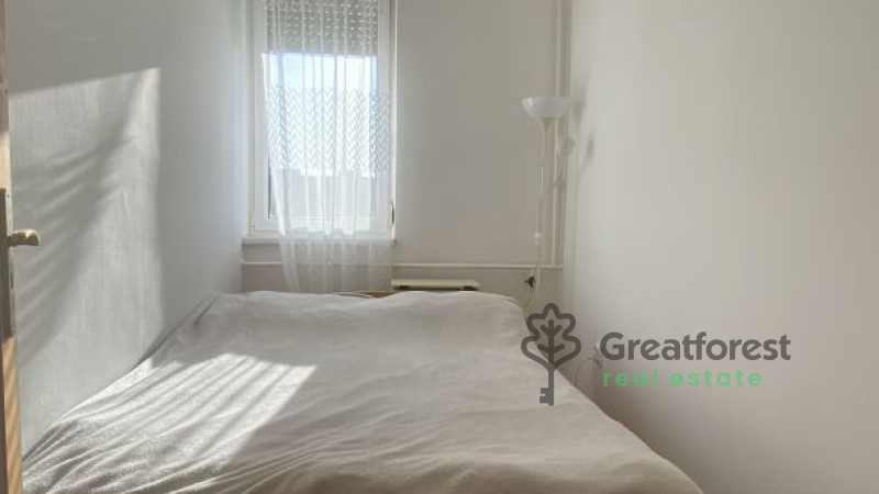 Debrecen, Close To Main Campus, flat  
